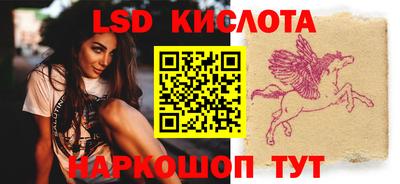 крисы Шелехов