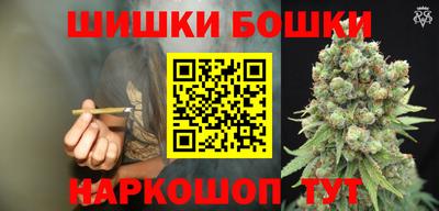 крисы Шелехов