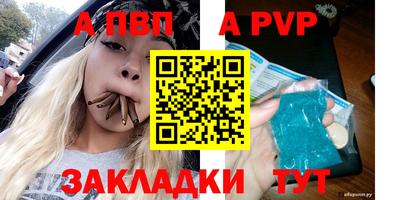 крисы Шелехов
