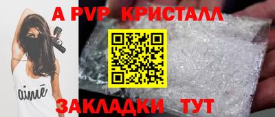 крисы Шелехов