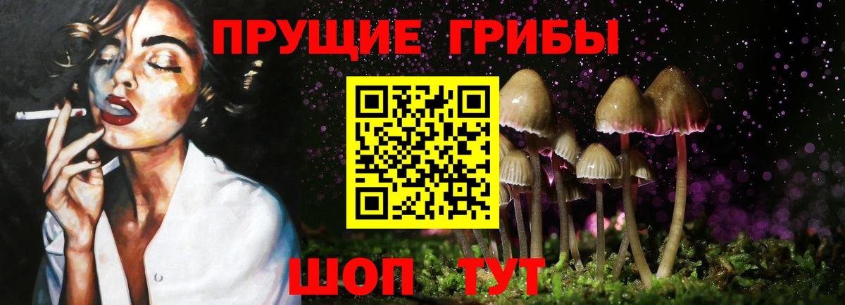 Псилоцибиновые грибы Cubensis  Вход с VPN  магазин продажи наркотиков  Батайск 